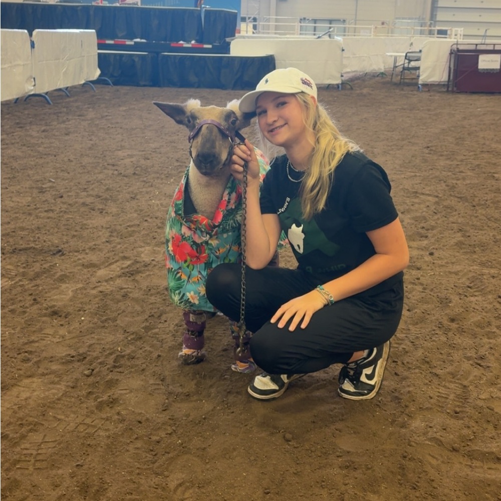 Meet your Posher, Paisley